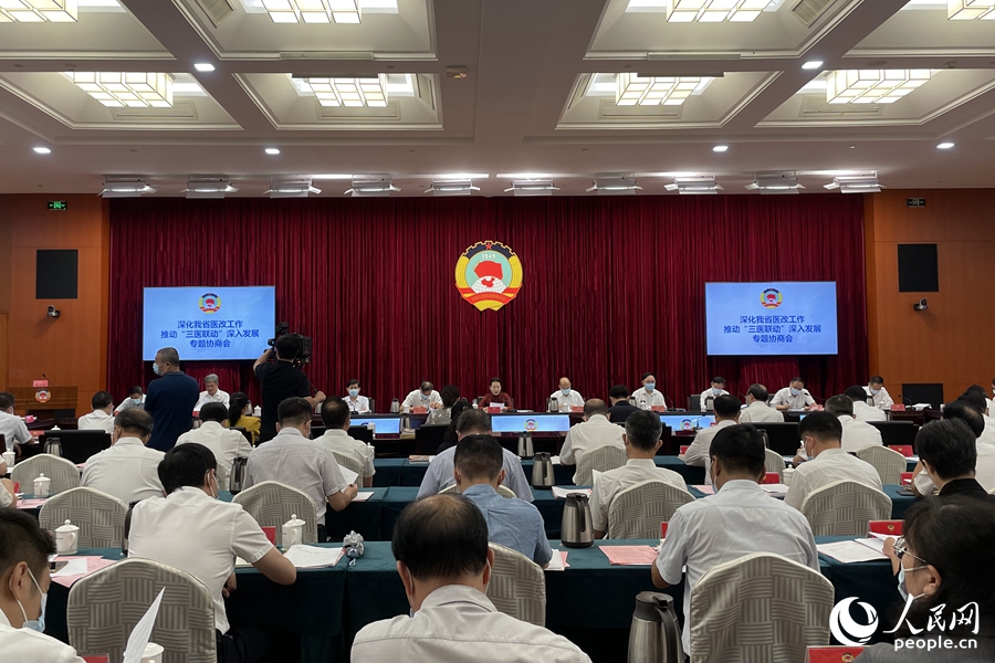 专题协商会现场。人民网 林盈摄